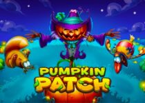 Pumpkin Patch Slot